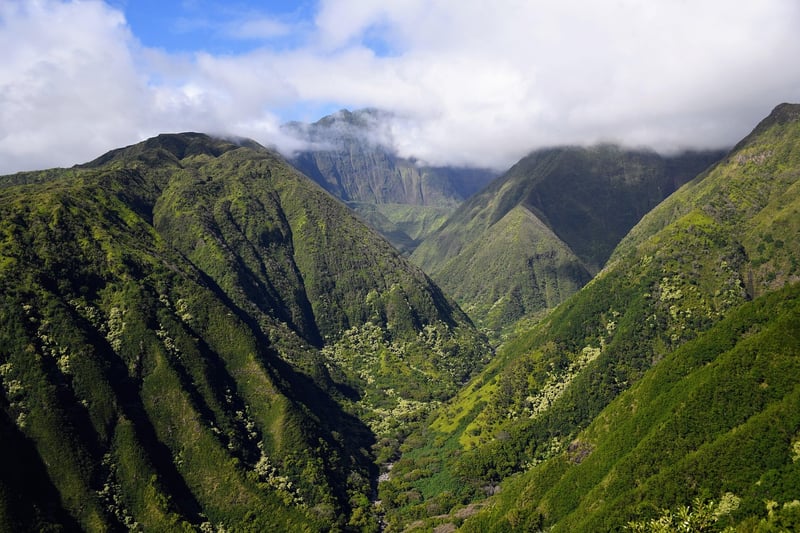 Hawaiian landscape